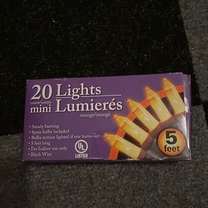 20 Orange Mini Lights 5 Feet